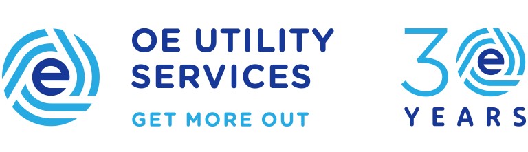 OE 30th Anniversary logo, full colour on white